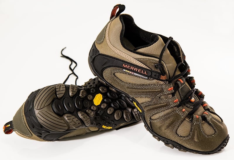 Statement Sneakers