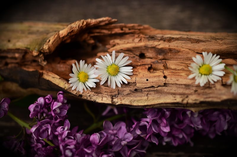 Handmade wooden wall art